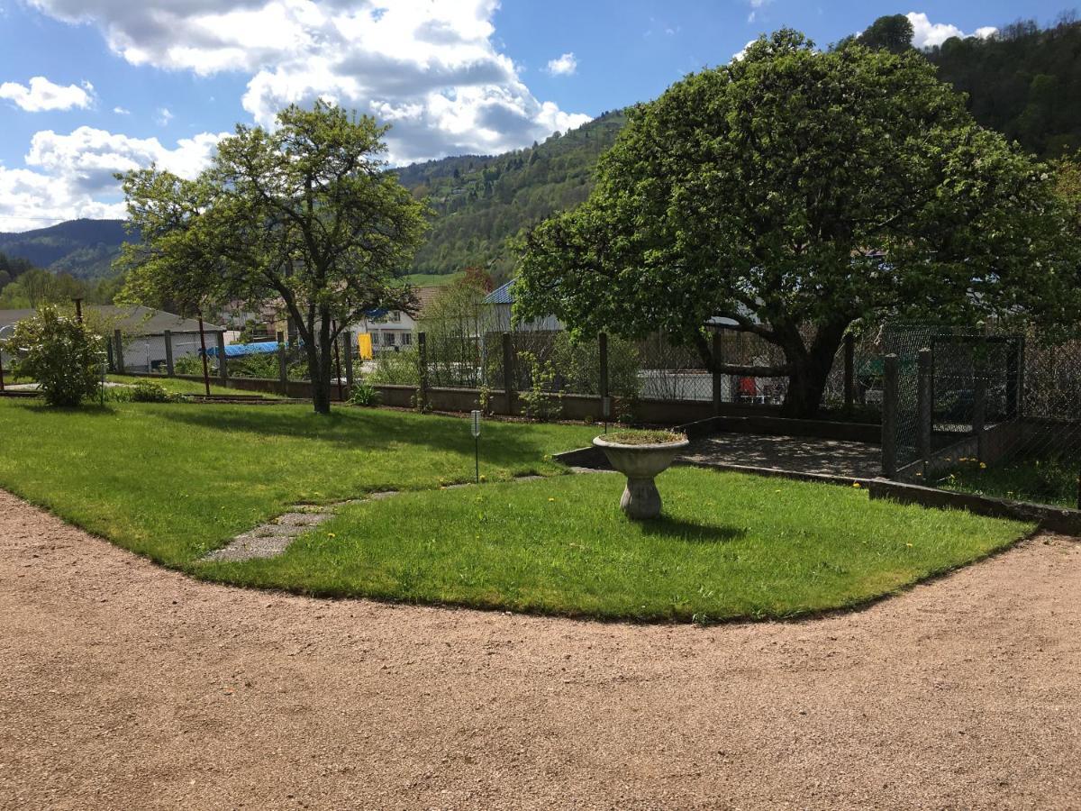 Ferienwohnung La Montagne La Bresse Exterior foto