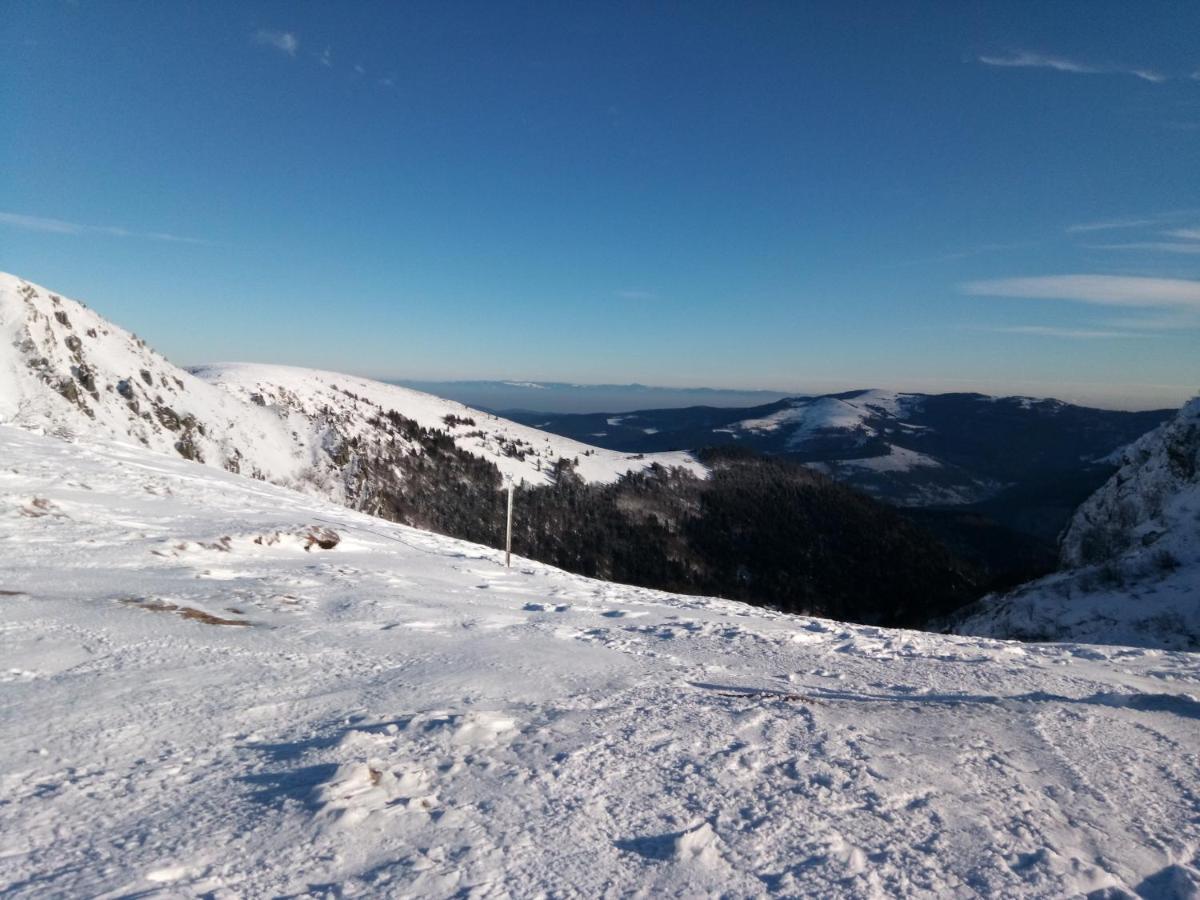 Ferienwohnung La Montagne La Bresse Exterior foto