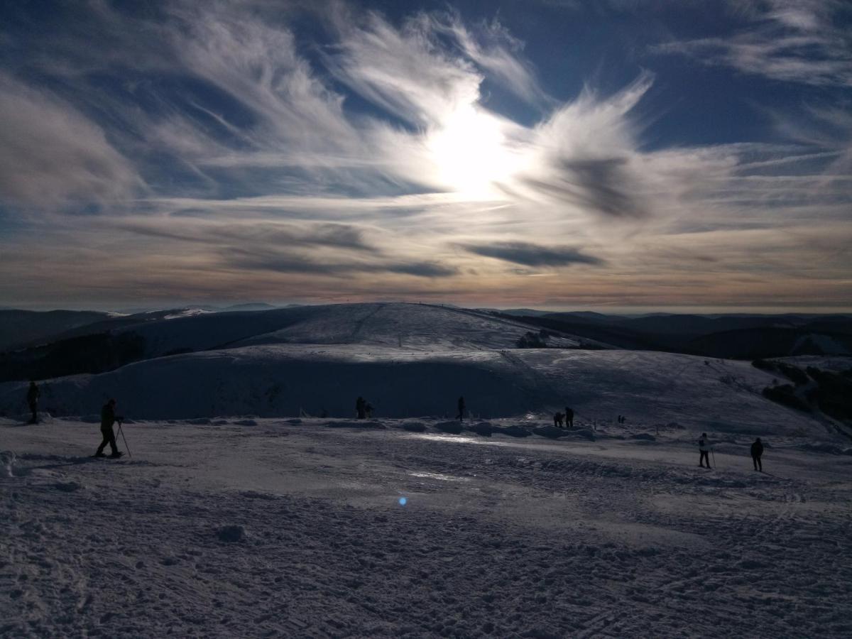 Ferienwohnung La Montagne La Bresse Exterior foto